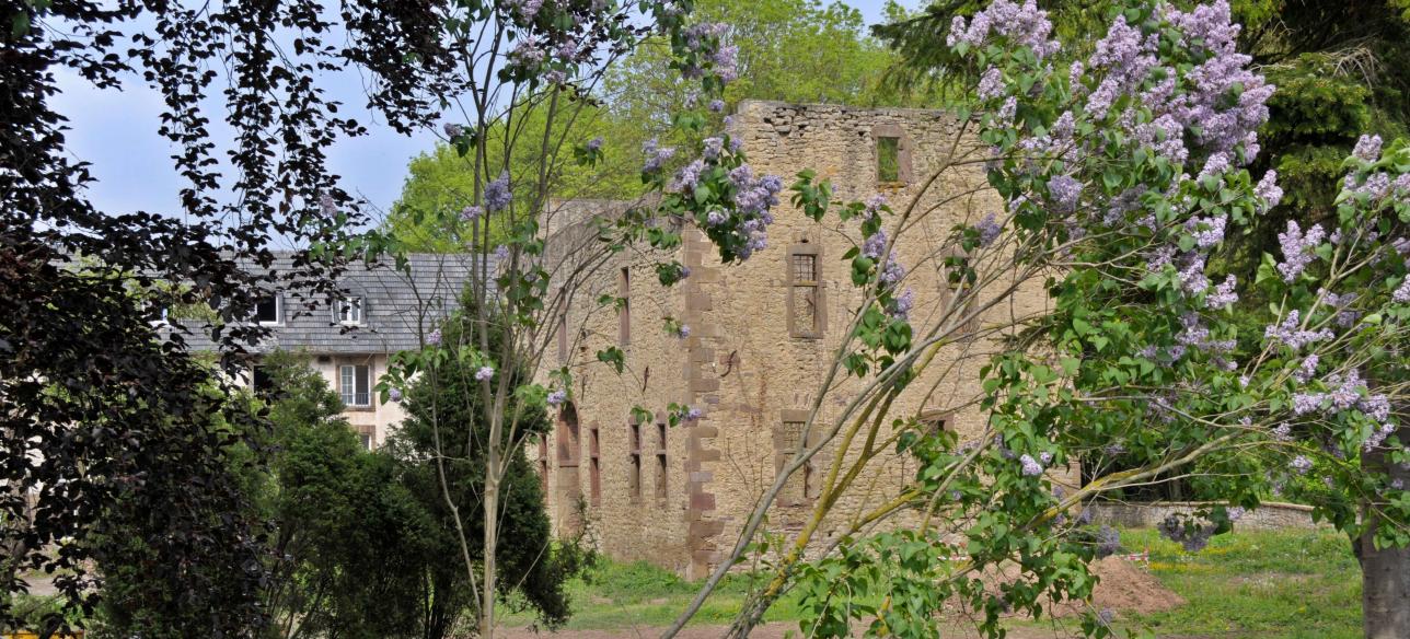 Burg13.jpg