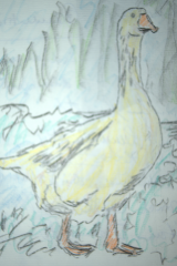 23Gans1.png
